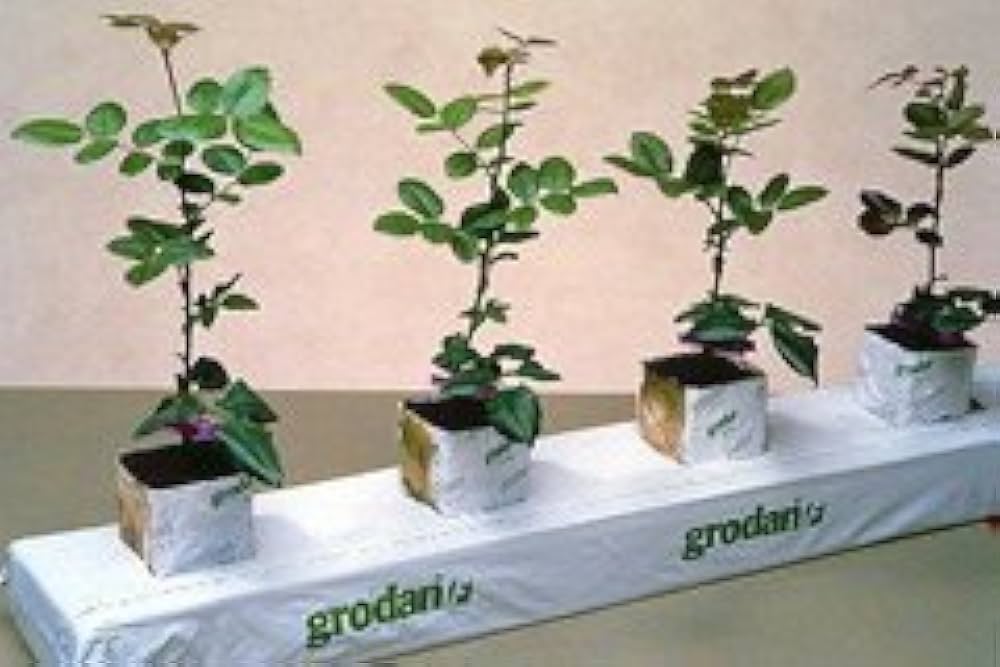 Amazon.co.jp: VEGEFARM ロックウール マット クラッシック
